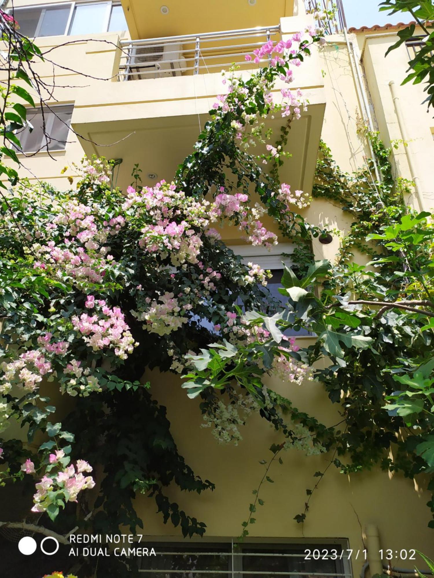 הרקליון Georgia'S Family Apartment מראה חיצוני תמונה