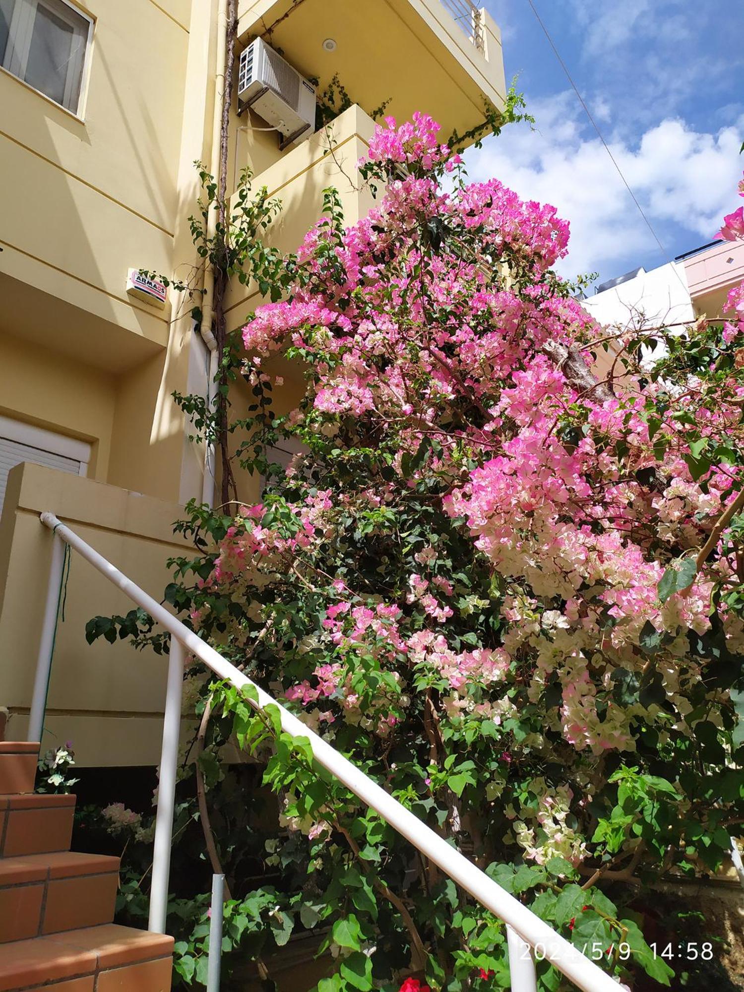 הרקליון Georgia'S Family Apartment מראה חיצוני תמונה